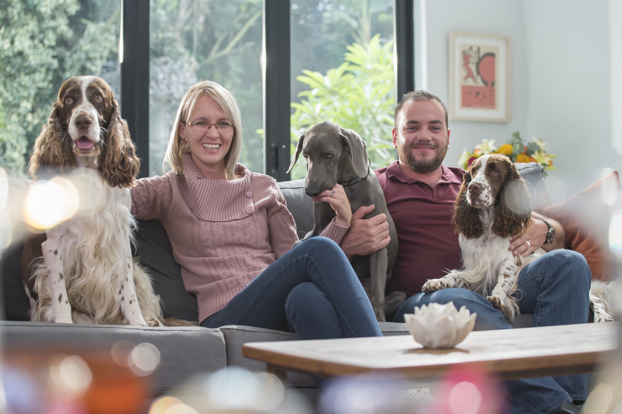 AS SEEN ON TV – MEET THE VAN DYK FAMILY!