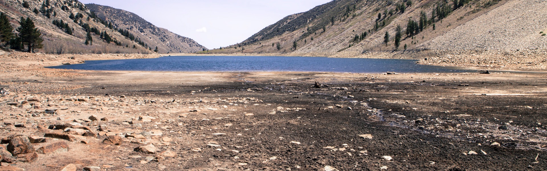 WATER CRISIS? EXTREME TIPS FOR EXTREME TIMES