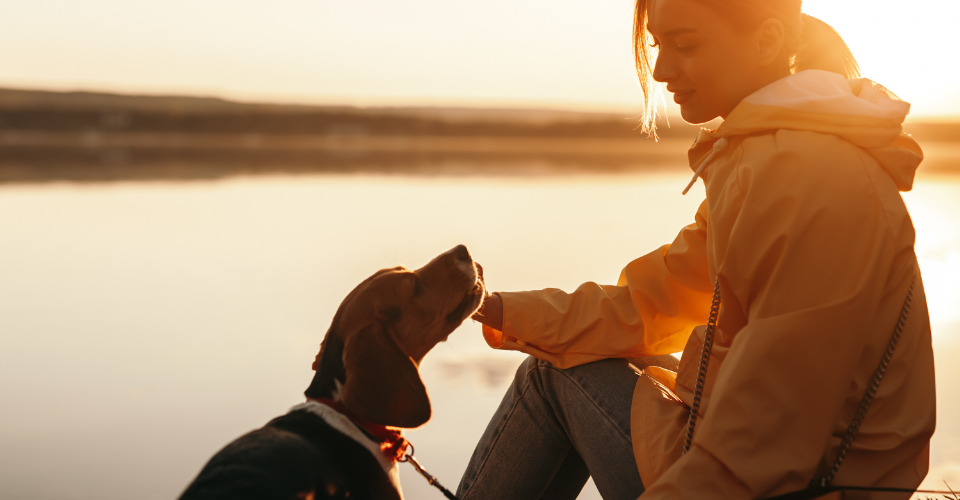 SA’S TOP DOG-FRIENDLY HIKING SPOTS