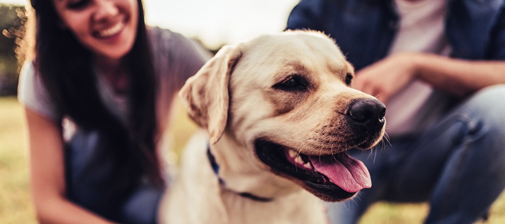 BECOME A VOLUNTEER TODAY