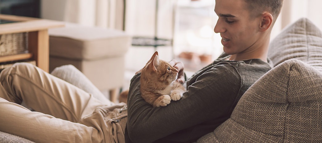 THE HOUSE RULES FOR KEEPING PETS IN COMPLEXES