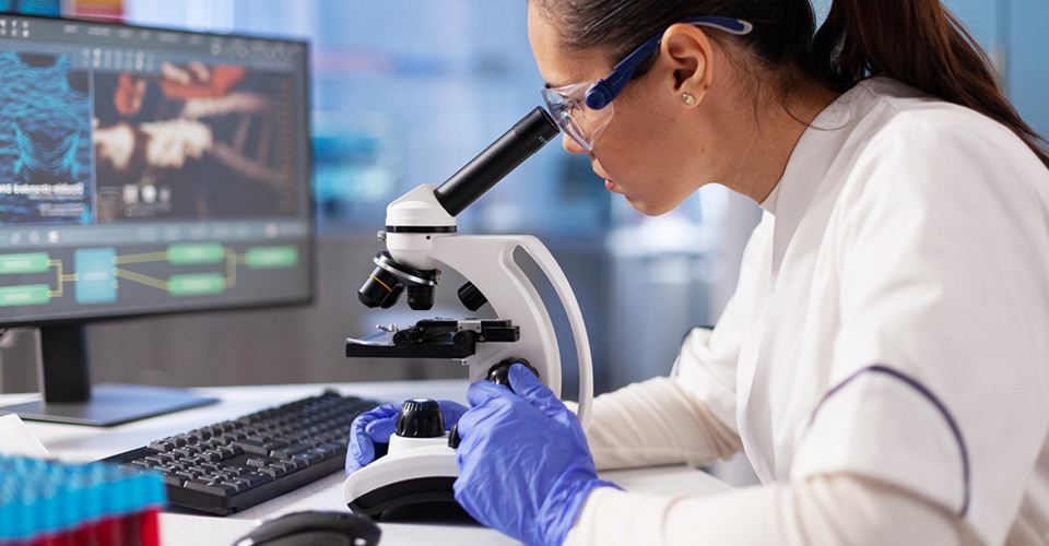 DOG DNA TESTING: IS YOUR DOG WHAT THEY SAY IT IS?