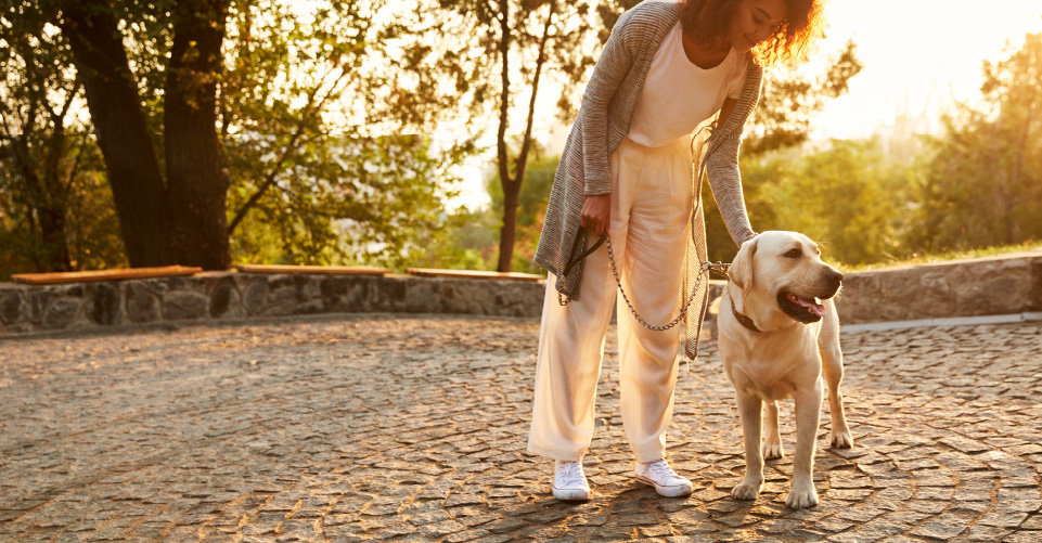 LEASH ETIQUETTE AND LAWS: STAY IN THE KNOW