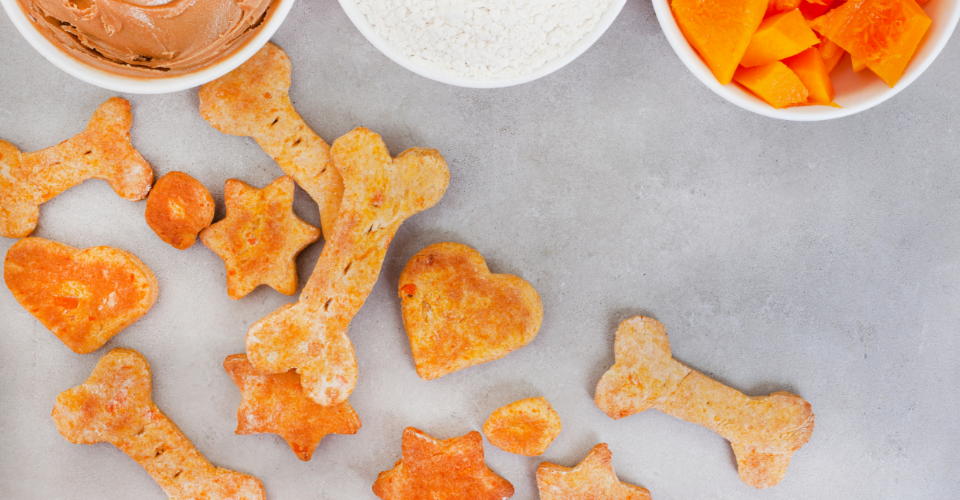 5 IRRESISTIBLE HOMEMADE PET TREATS