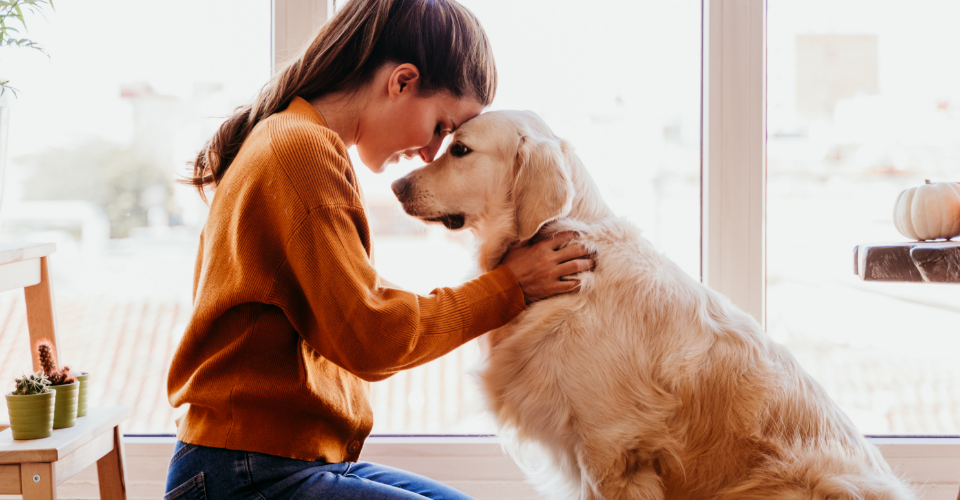 PET INSURANCE MADE SIMPLE: YOUR TOP QUESTIONS ANSWERED