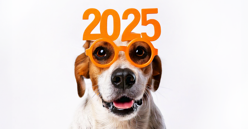 YOUR 2025 PET CALENDAR