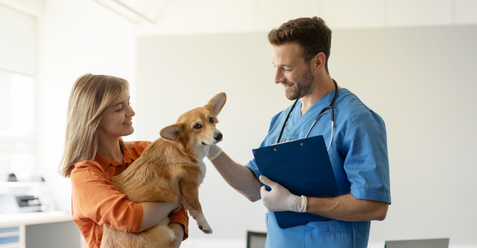 VET ADVICE: WHEN IS ANAL GLAND EXPRESSION NECESSARY?